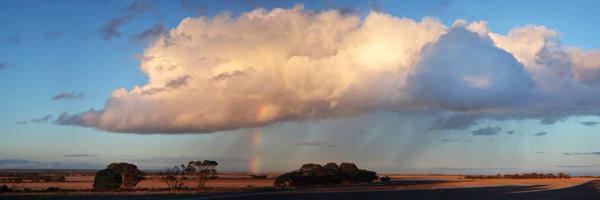 BurandoHillKat Profile Banner