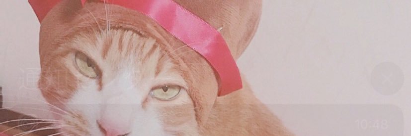 vBaro_N's profile banner image