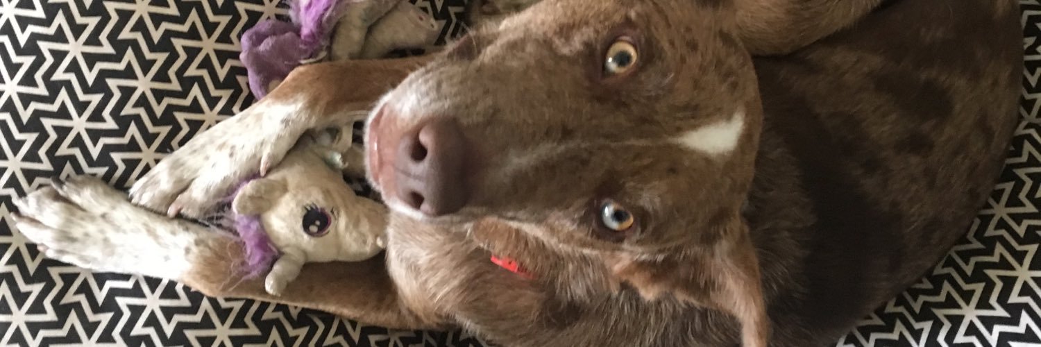 drsarahlist's profile banner image