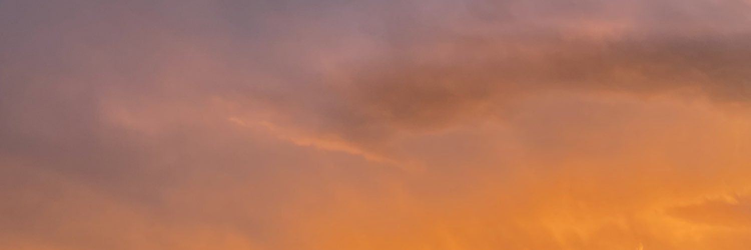 RazzberryRida's profile banner image