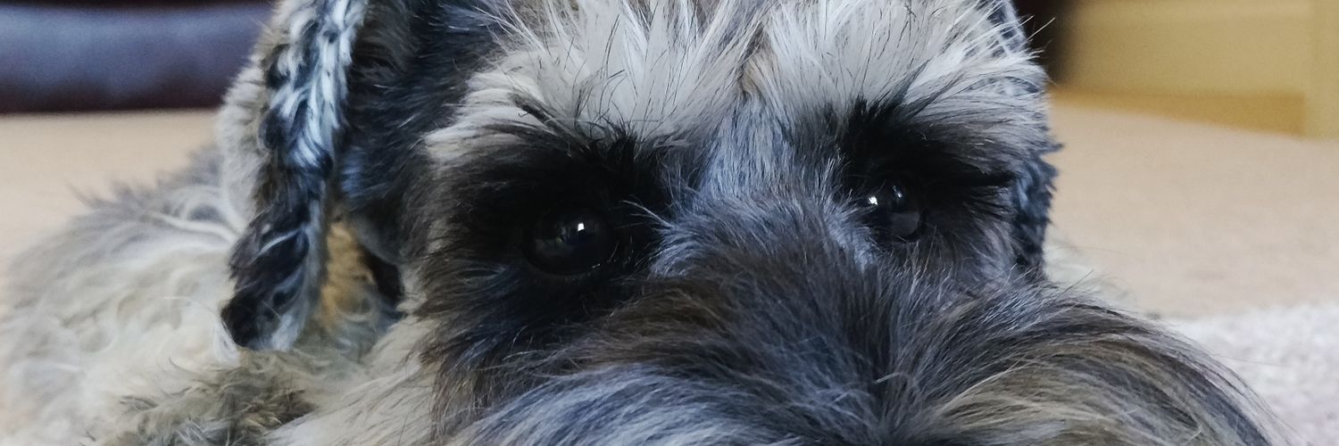 BarryToTheB's profile banner image
