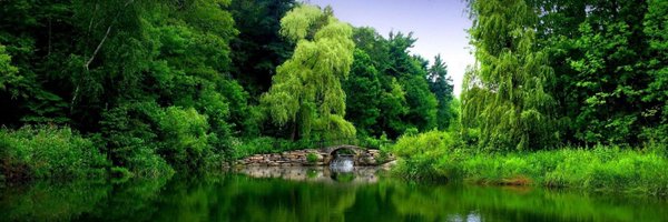 KimEdri Profile Banner