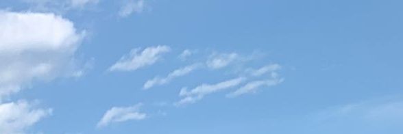 durrylungs's profile banner image