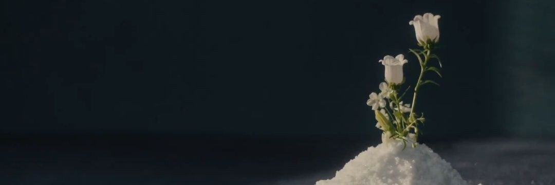 renjunzns's profile banner image