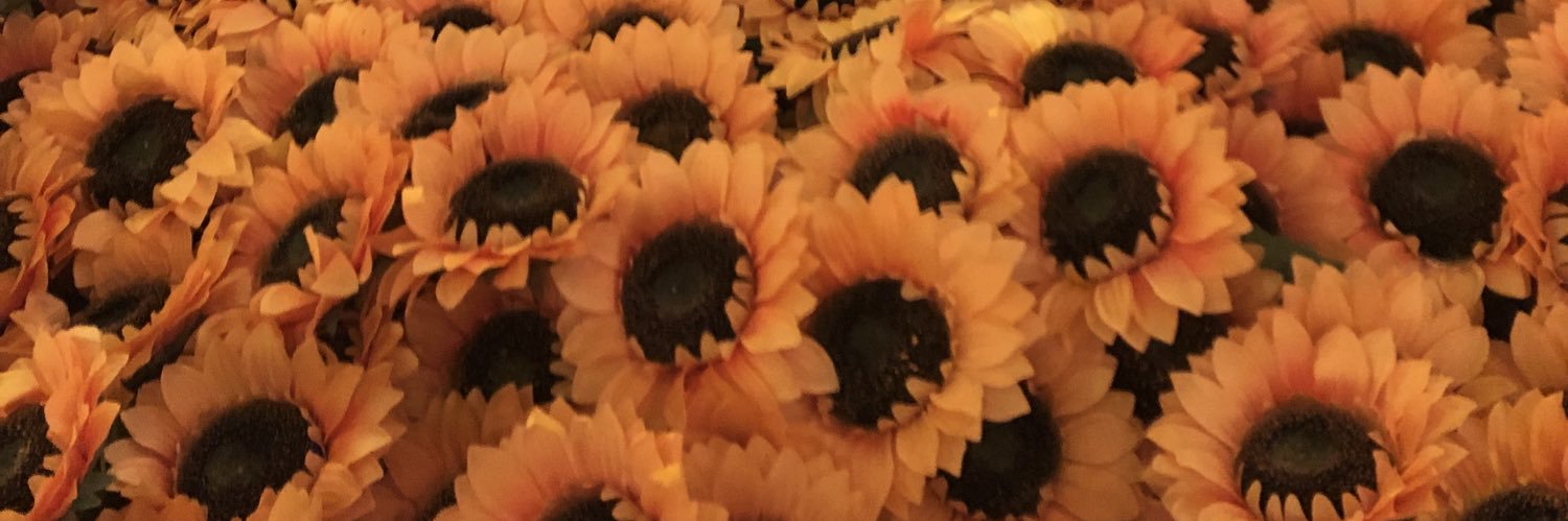 ionebarton's profile banner image