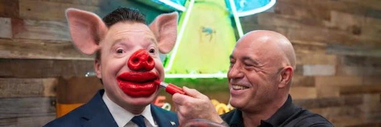 Andrew Scheers (Parody, or is it?) banner