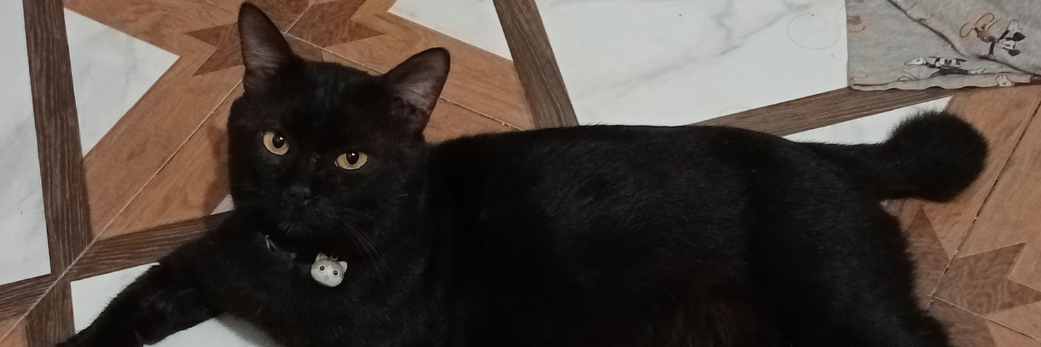 Chimmiaw's profile banner image