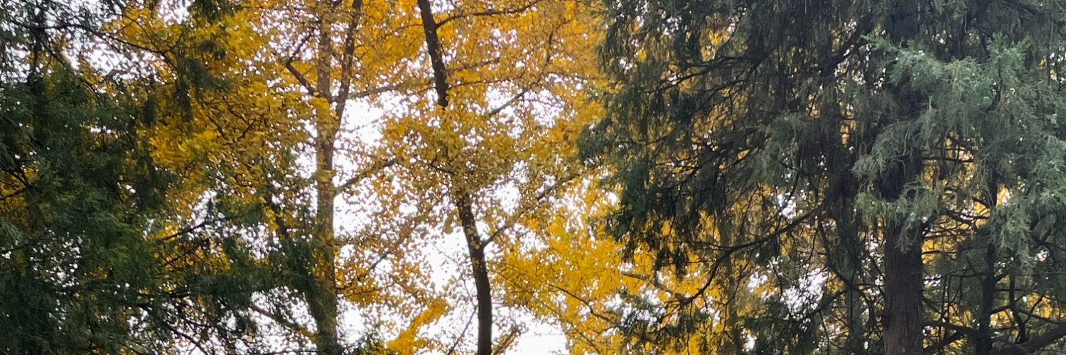 Idony_Rt's profile banner image