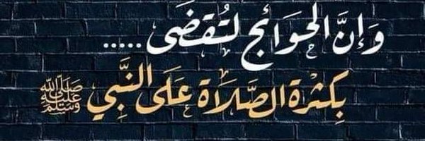 🌺 Talia Hussein 🌺 banner