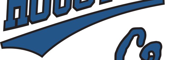 C2_Baseball Profile Banner