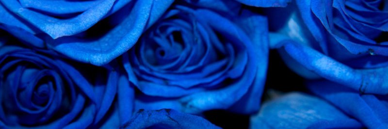 TierOfEternal's profile banner image
