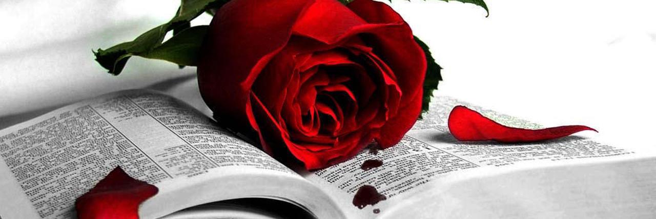 Osi_fa's profile banner image