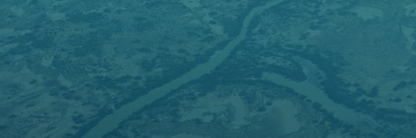 LymBase Profile Banner