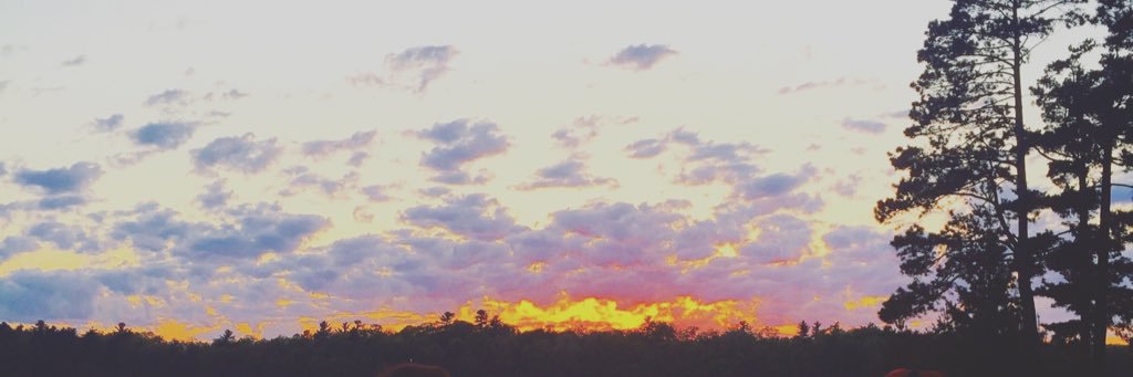MckinnonLucas's profile banner image