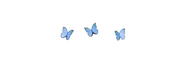micaelaelipee's profile banner image