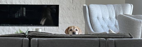 _CooperComstock Profile Banner