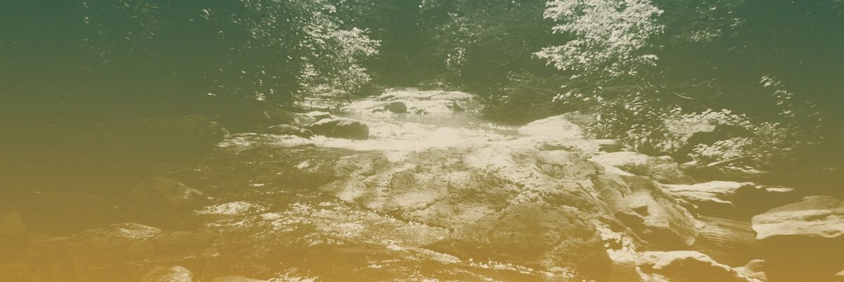 spirits having fun 🍂 banner