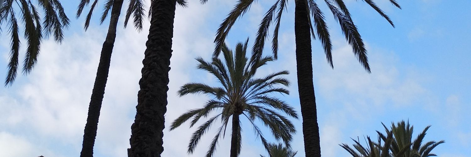 Meripopins 🏹☦️ banner