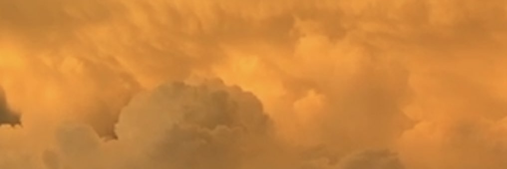 alyssaficacci's profile banner image