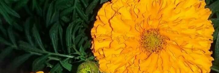 Muhamma16710230's profile banner image