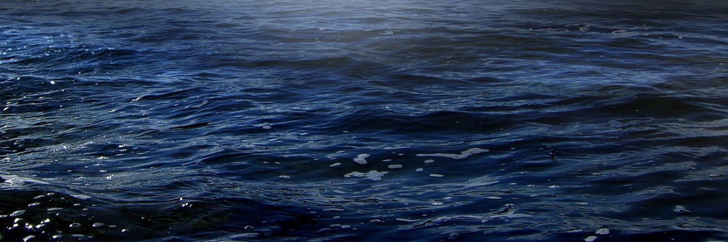 WickedCestus's profile banner image