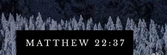 markjordanbrink's profile banner image