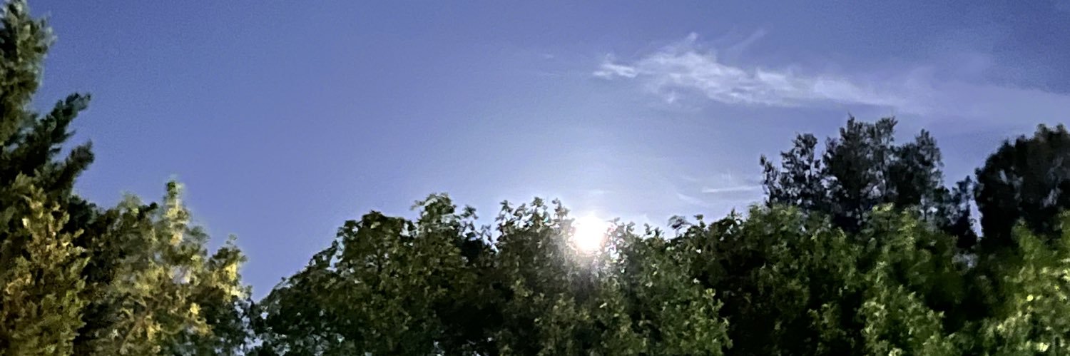 deangelo_vi's profile banner image