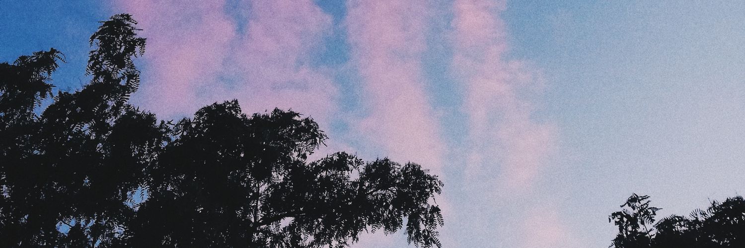 LaraBosAg's profile banner image
