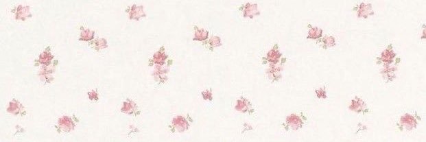 RaeFeverr's profile banner image