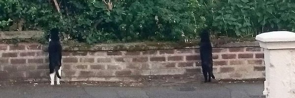 yesitswally Profile Banner