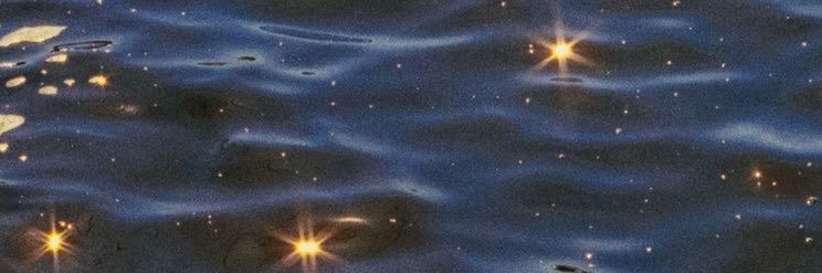 ella0b's profile banner image