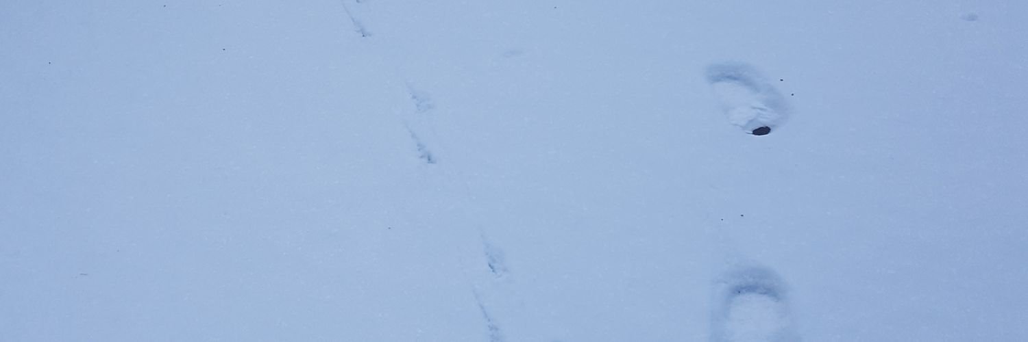 kimcloud0220's profile banner image
