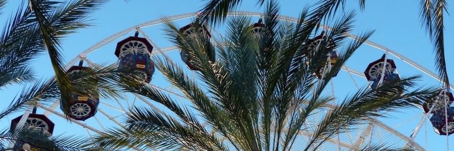 Assemblywoman Cottie Petrie-Norris banner