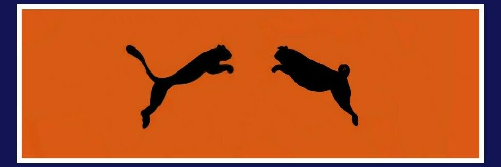 MisterOrange_'s profile banner image