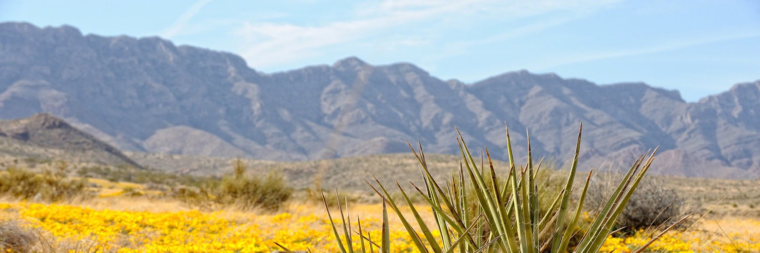 Rep. Veronica Escobar Profile Banner