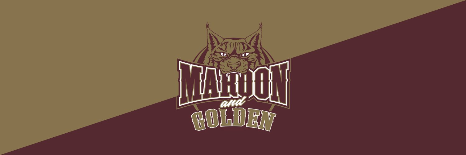 Maroon & Golden Profile Banner