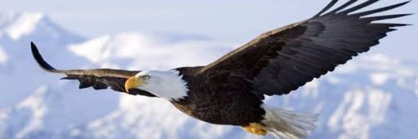 yparlak's profile banner image