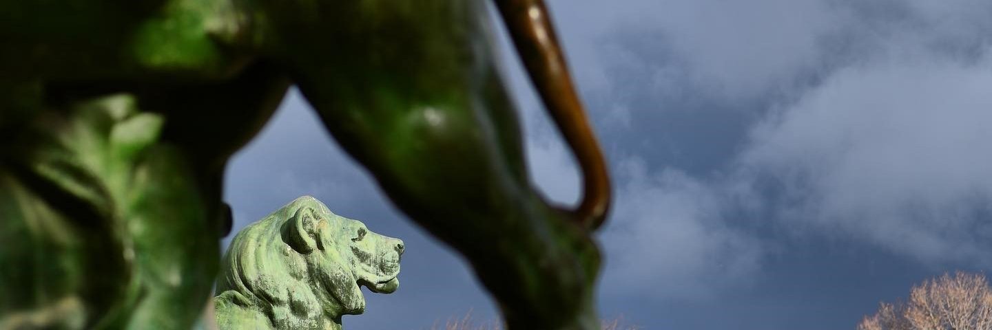 Dira Martínez Mendoza banner