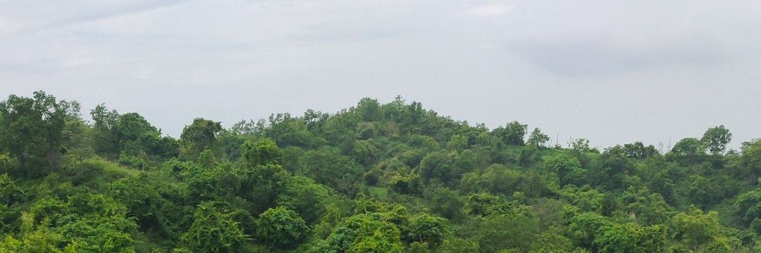 vikashkukna's profile banner image