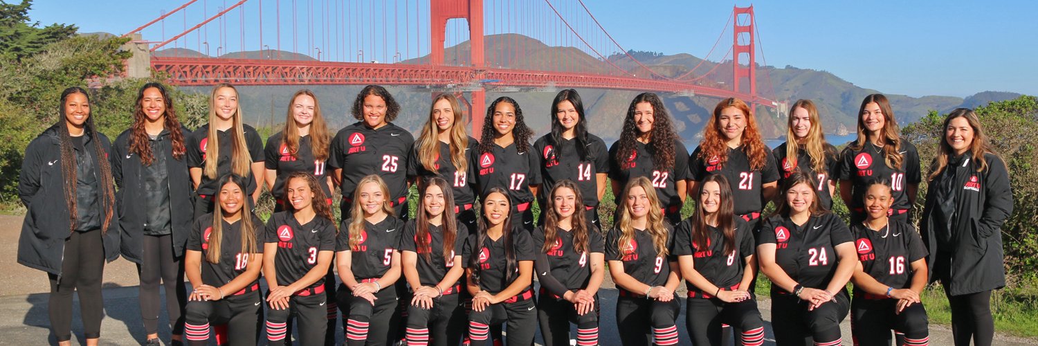 ART U Softball banner