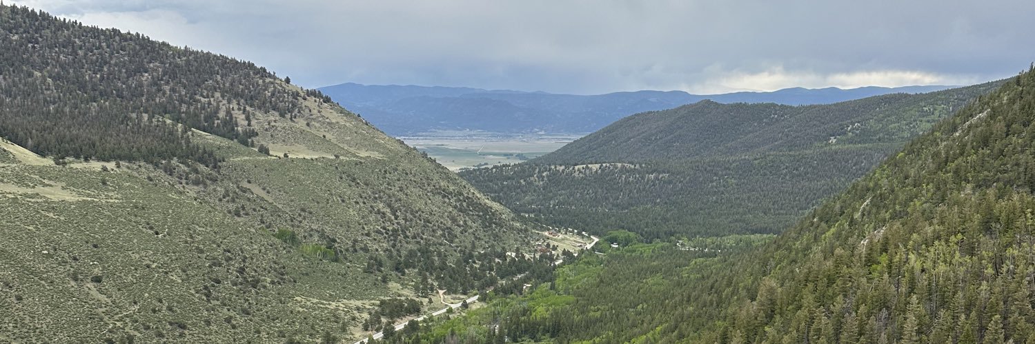 Alyssa banner