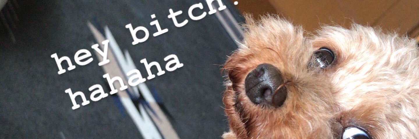 109Bear's profile banner image