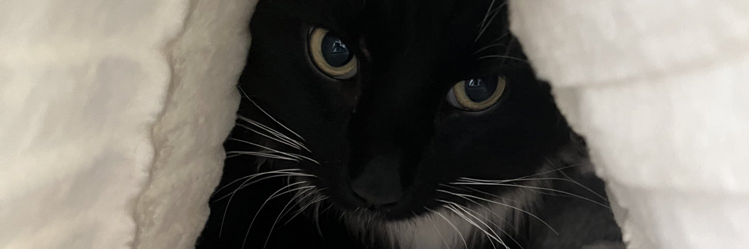 R banner