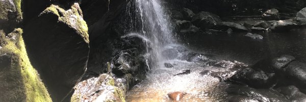 pirigraphics Profile Banner