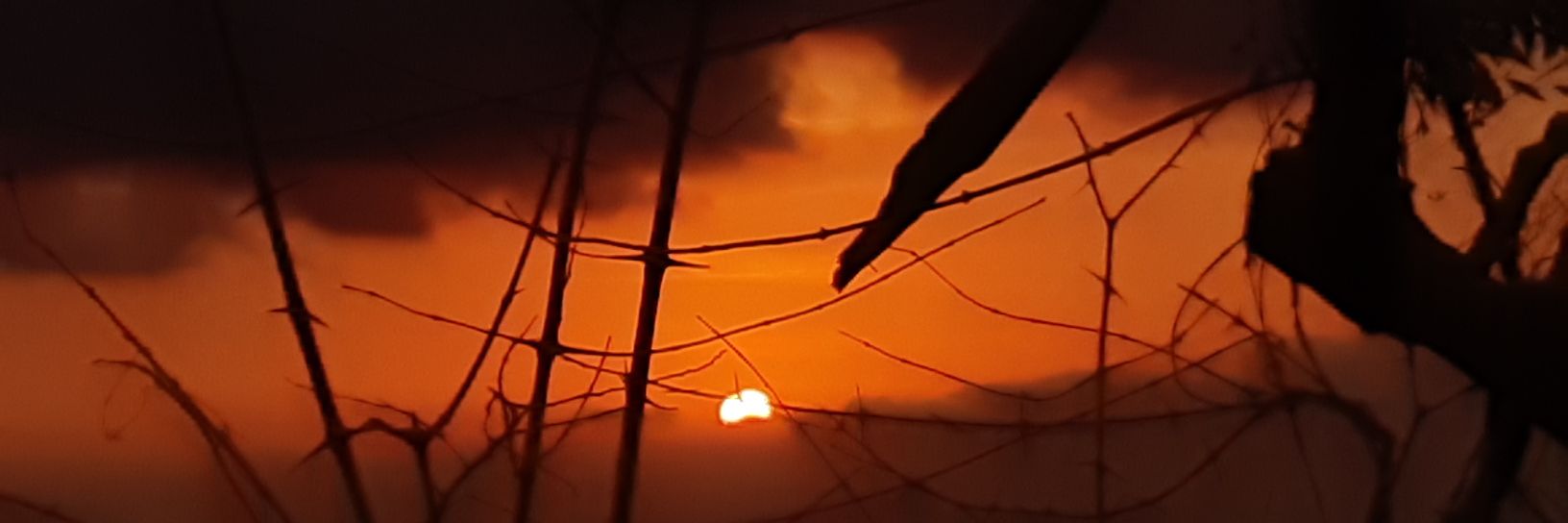 P10Moer's profile banner image
