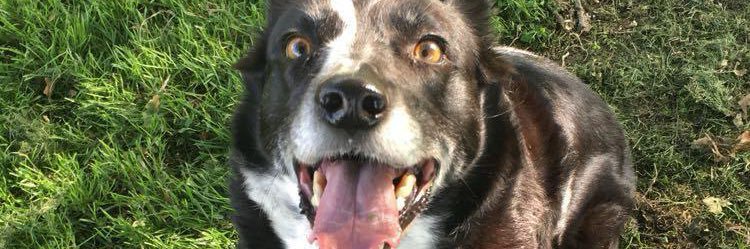 charlobethan's profile banner image
