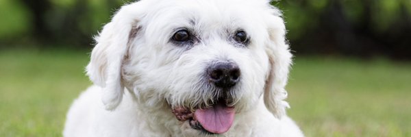 JoeB_Photos Profile Banner