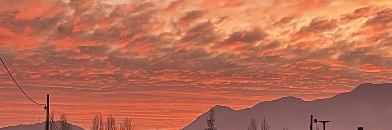 CottyMonserrat's profile banner image