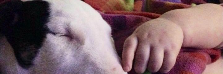 Jeremyth0mas's profile banner image