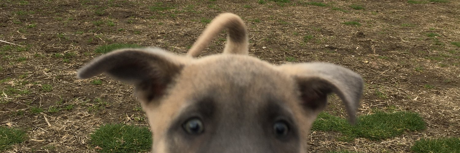 NOUHFENCE's profile banner image
